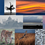 Collage of the In-House Digital Competition winning entries 241120