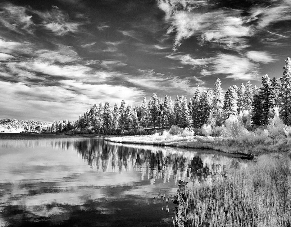 Infrared Lanscape - Mario Traina